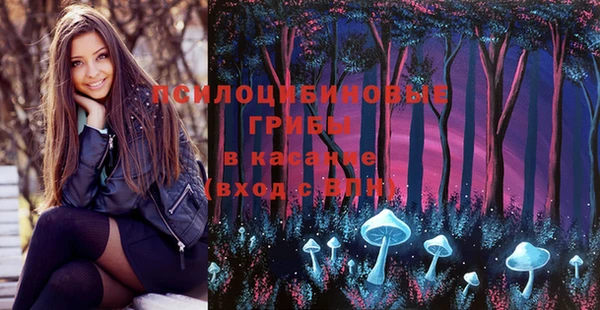 PSILOCYBIN Балахна